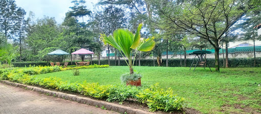 Integrative & Holistic Mental Hospital - Karen