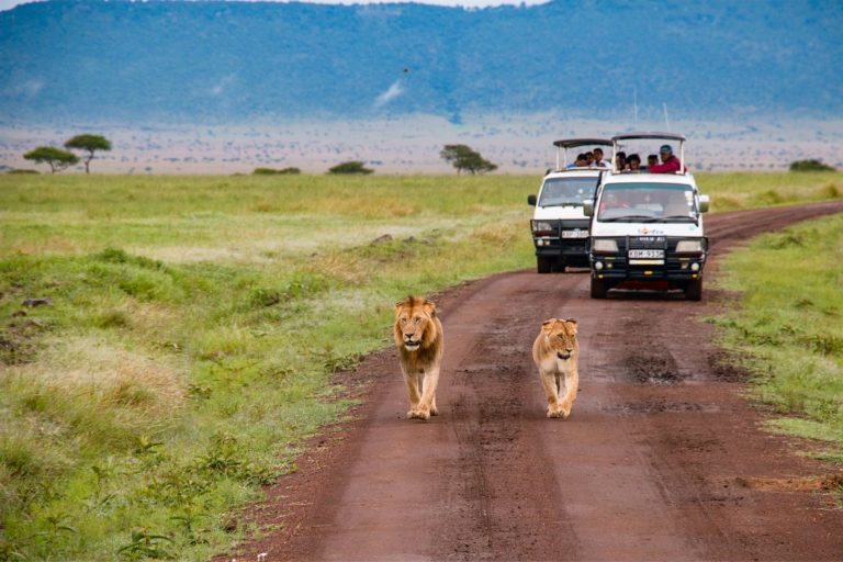 Mindful Safaris Kenya
