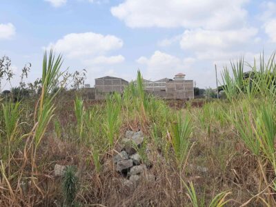 Thika industrial land