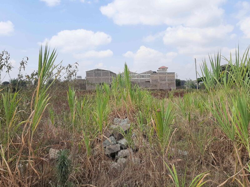 Thika industrial land