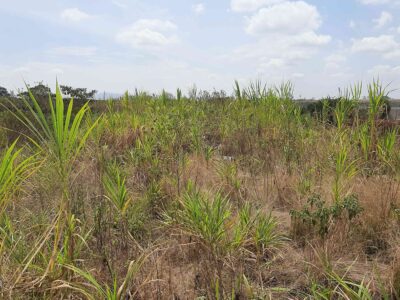 Thika industrial land