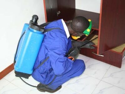 Bestcare Pest Control and Fumigation