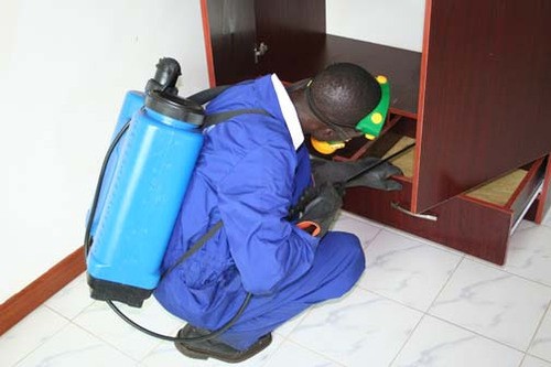 Bestcare Pest Control and Fumigation