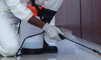 Bestcare Pest Control and Fumigation