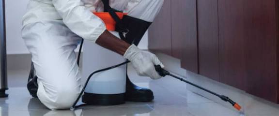 Bestcare Pest Control and Fumigation